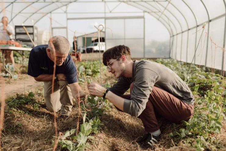Two Asbury University students work in a greenhouse studying plants
